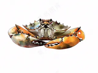 螃蟹海洋动物卡通插画免抠