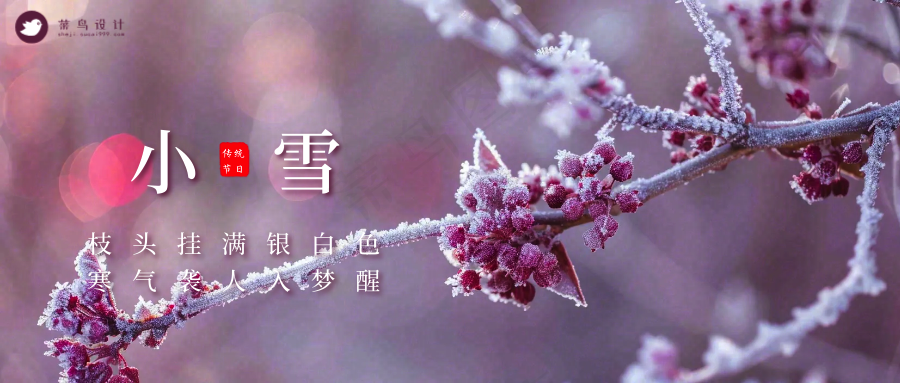 小雪公众号首图