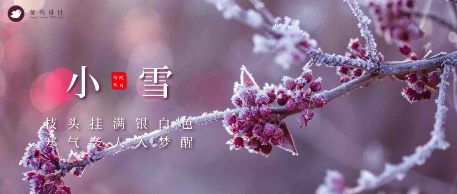 小雪公众号首图