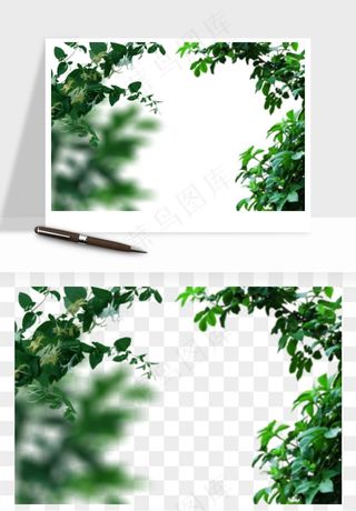 绿叶虚化前景树枝png免抠