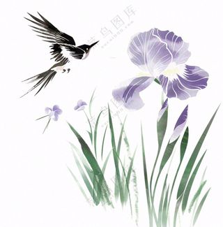 水墨画兰花鸟类紫色兰花插画免抠