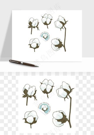 手绘棉花矢量png免抠