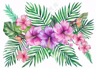 花艺插画植物花朵水彩免抠