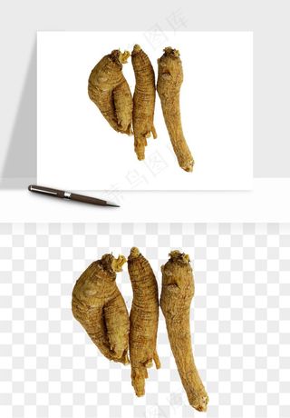 人参养生药材png免抠
