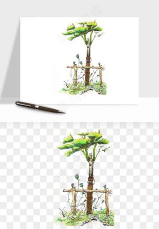 水彩手绘树木png免抠