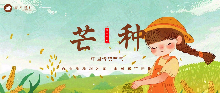 芒种公众号首图