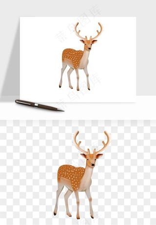 手绘梅花鹿小鹿麋鹿png免抠