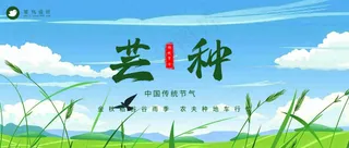 芒种公众号首图