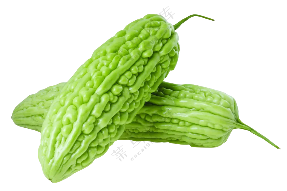 短小粗壮外形的俩苦瓜免抠图片素材