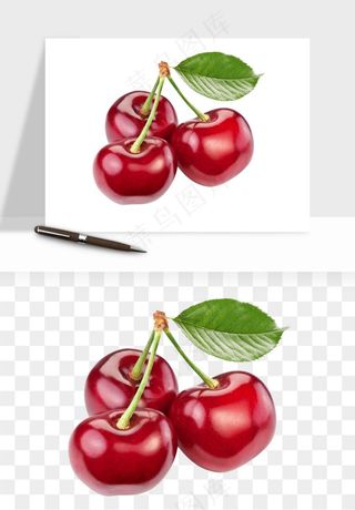 樱桃车厘子水果png免抠
