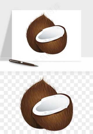 椰子椰果水果png免抠