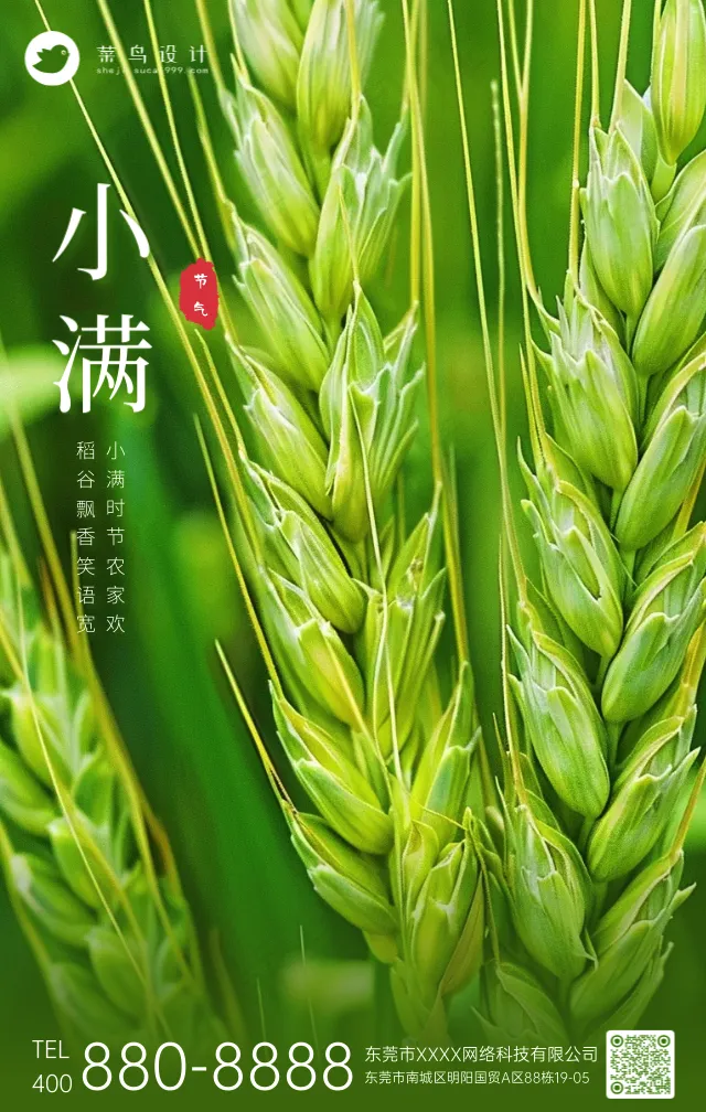 小满手机海报