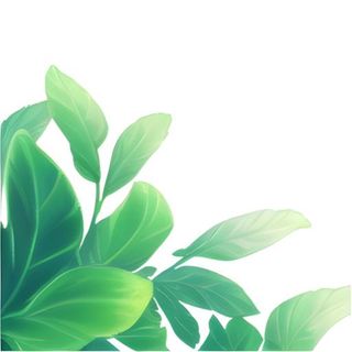 春天绿叶草丛免抠