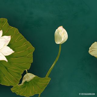 唯美莲花高清油画