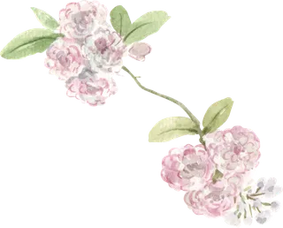 插画免抠高清素材