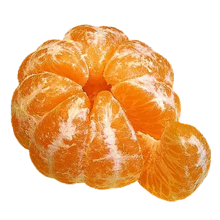 橘子免抠素材 (23)