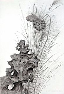 唯美莲藕假山时尚插画