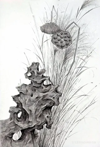 唯美莲藕假山时尚插画