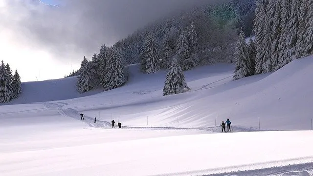 冬天自然背景风景