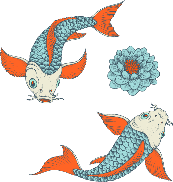 锦鲤图片PNG