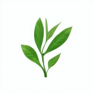 一支绿色的叶子png免抠