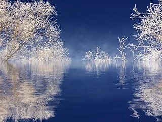 冬天白雪背景风景