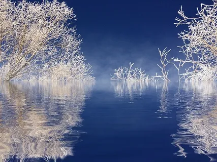 冬天白雪背景风景 冬天白雪背景风景