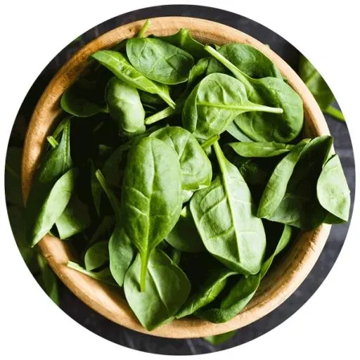 菠菜免抠(600x600)