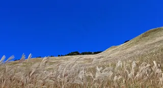 野外风景素材图片下载