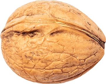 05_Walnut