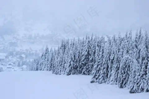 冬季白色积雪景观图片 冬季白色积雪景观图片