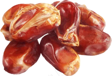 海枣免抠素材 (31)