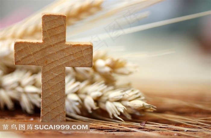 阳光下的麦穗与十字架