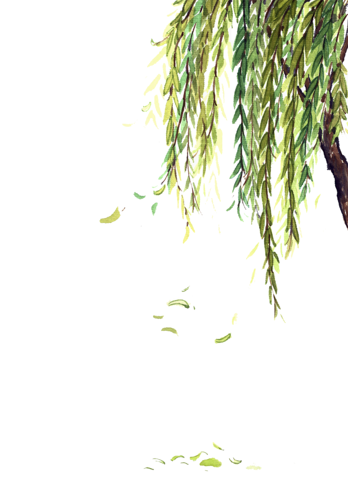 春天绿色春季水墨柳树柳条柳叶春季海报设计PNG免扣素材