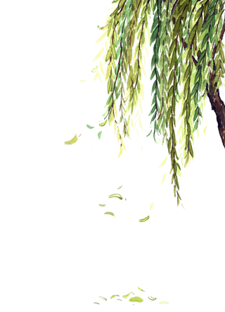 春天绿色春季水墨柳树柳条柳叶春季海报设计PNG免扣素材