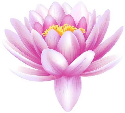 莲花 PNG免抠(600x546)