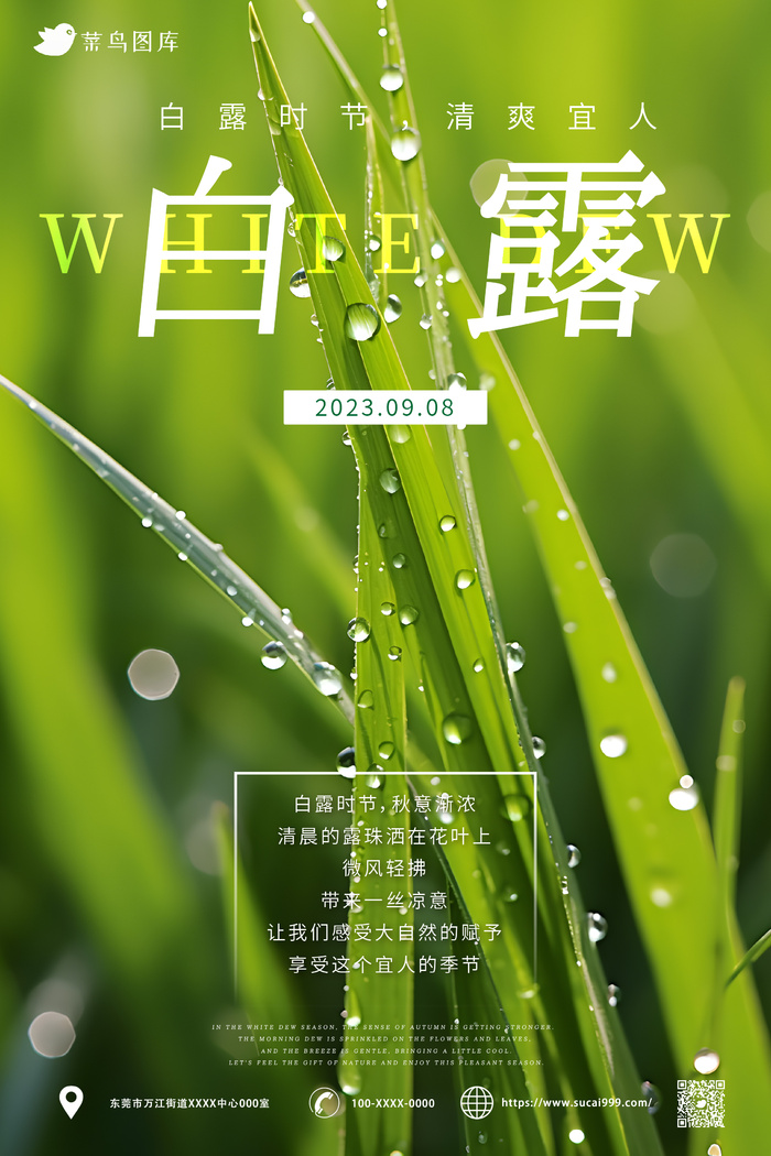 绿色 中国传统二十四节气 白露海报ai矢量模版下载