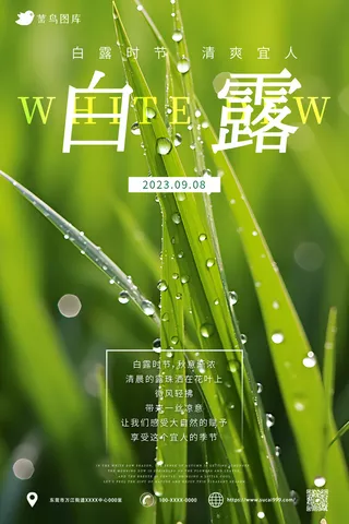 绿色 中国传统二十四节气 白露海报
