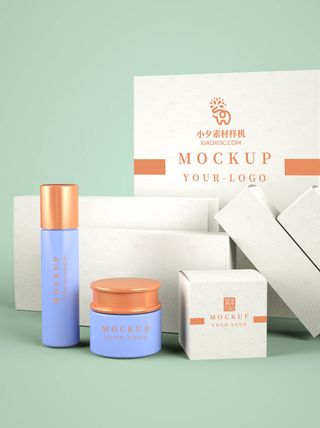 包装智能贴图样机VI效果PSD素材