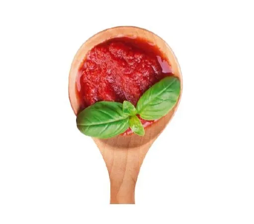 酱汁 PNG免抠(511x451)