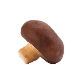 香菇 (14)超市商品白底图免抠实物摄影png格式图片透明底