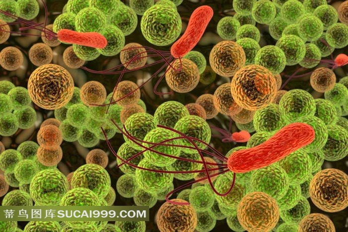 细菌高清图片