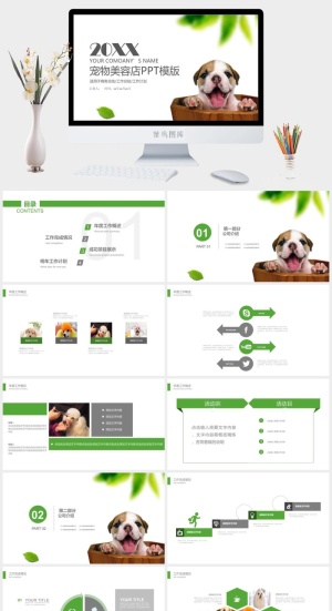 宠物美容店品牌推广工作计划PPT模版预览图