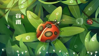 谷雨海报二十四节气插画