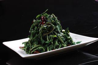 LCSC1433凉拌花椒芽28