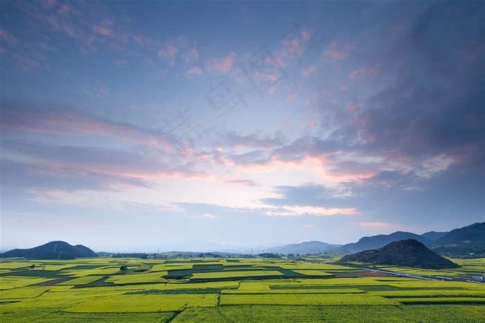 田园油菜花图片