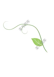 叶子素描图