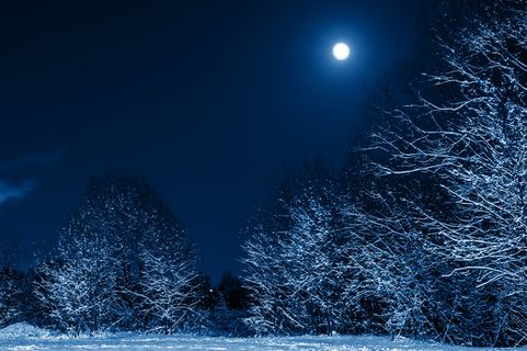 圣诞节户外夜晚高清背景图350145913