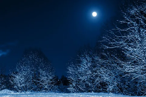 圣诞节户外夜晚高清背景图350145913 圣诞节户外夜晚高清背景图350145913