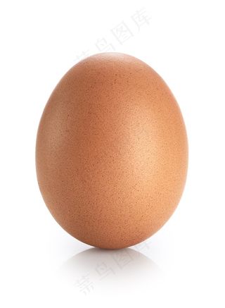 倒立起来的鸡蛋特定高清图片